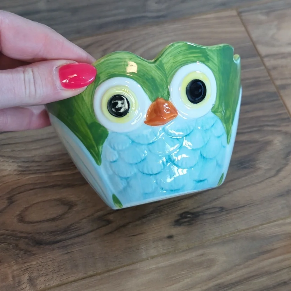 Pier 1 Imports Owl Design Nesting Measurin Bowls Set.